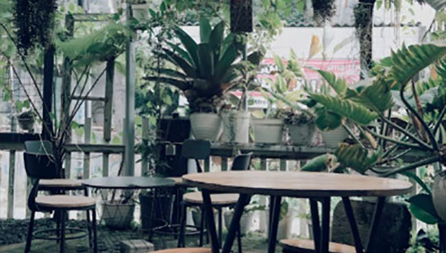 Tips Feng Shui: 5 Cara Sederhana Mendatangkan Keberuntungan